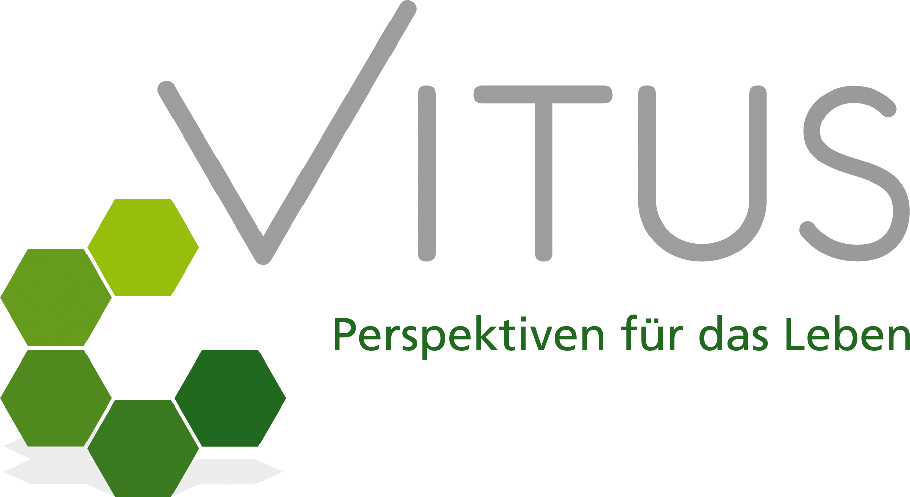 Logo Vitus